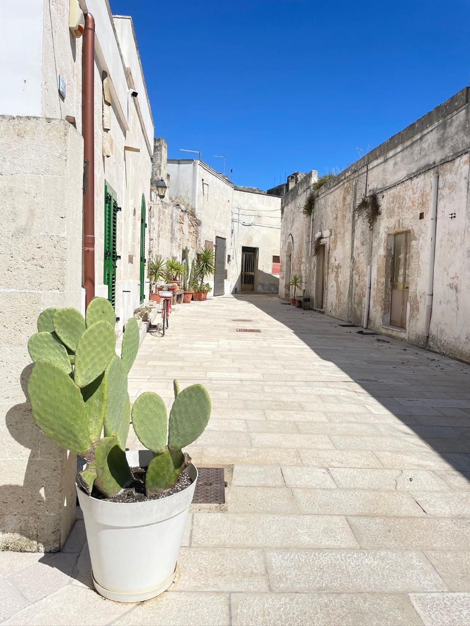 B&B Borgo Monacizzo Exterior photo